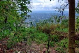 Development Land (Residential) for Sale in Kingston 9