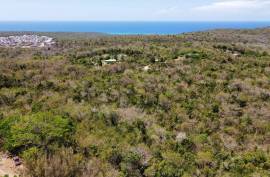 Development Land (Residential) for Sale in Falmouth