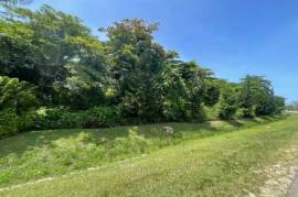 Development Land (Residential) for Sale in Montego Bay