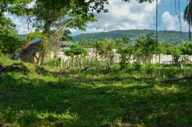 Development Land (Residential) for Sale in Bamboo