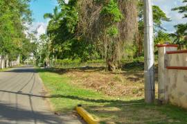 Development Land (Residential) for Sale in Bamboo