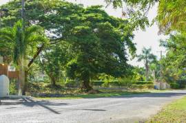 Development Land (Residential) for Sale in Bamboo