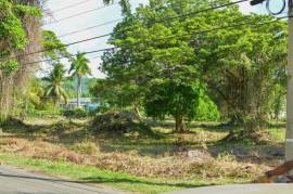 Development Land (Residential) for Sale in Bamboo