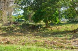 Development Land (Residential) for Sale in Bamboo