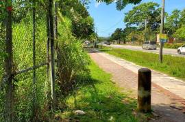 Development Land (Residential) for Private in Negril