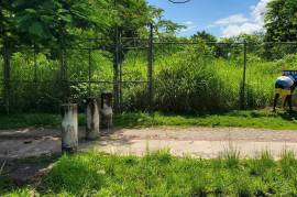 Development Land (Residential) for Private in Negril