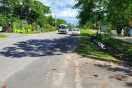 Development Land (Residential) for Private in Negril