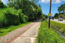 Development Land (Residential) for Private in Negril