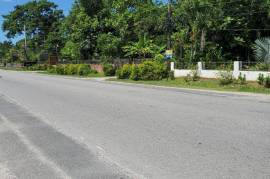 Development Land (Residential) for Private in Negril