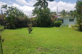 Development Land (Residential) for Sale in Kingston 6