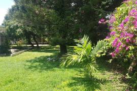 Development Land (Residential) for Sale in Kingston 6