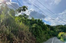 Development Land (Residential) for Sale in Kingston 8