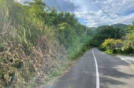 Development Land (Residential) for Sale in Kingston 8