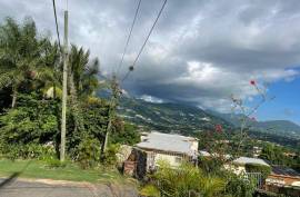 Development Land (Residential) for Sale in Kingston 8