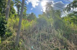 Development Land (Residential) for Sale in Kingston 8