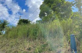 Development Land (Residential) for Sale in Kingston 8