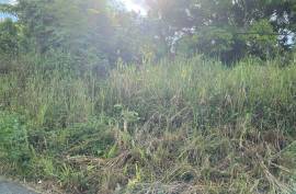 Development Land (Residential) for Sale in Kingston 8