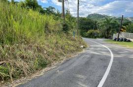 Development Land (Residential) for Sale in Kingston 8