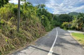 Development Land (Residential) for Sale in Kingston 8