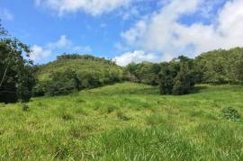 Development Land (Residential) for Sale in Bamboo