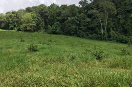 Development Land (Residential) for Sale in Bamboo