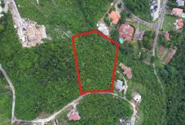 Development Land (Residential) for Sale in Kingston 19