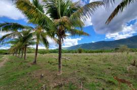 Development Land (Residential) for Sale in Braes River