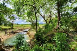 Development Land (Residential) for Sale in Braes River