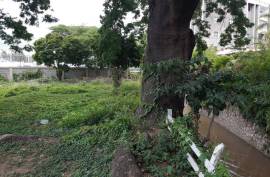 Development Land (Residential) for Sale in Kingston 6