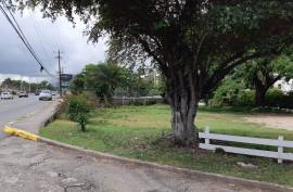 Development Land (Residential) for Sale in Kingston 6