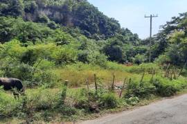 Development Land (Residential) for Sale in Kingston 19