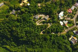 Development Land (Residential) for Sale in Kingston 19