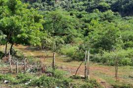 Development Land (Residential) for Sale in Kingston 19