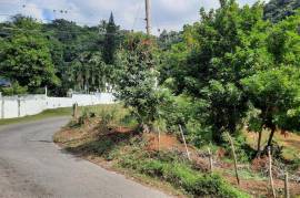 Development Land (Residential) for Sale in Kingston 19