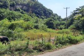 Development Land (Residential) for Sale in Kingston 19