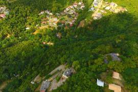 Development Land (Residential) for Sale in Kingston 19