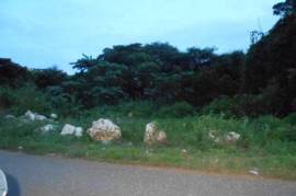 Development Land (Residential) for Sale in Kingston 19