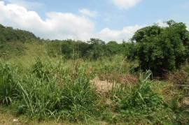 Development Land (Residential) for Sale in Kingston 19