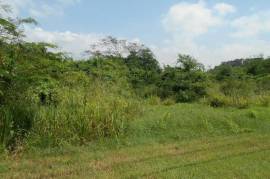 Development Land (Residential) for Sale in Kingston 19