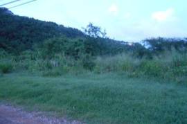 Development Land (Residential) for Sale in Kingston 19