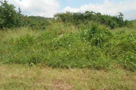 Development Land (Residential) for Sale in Kingston 19