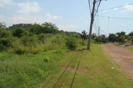 Development Land (Residential) for Sale in Kingston 19