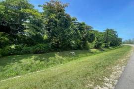 Development Land (Residential) for Sale in Montego Bay