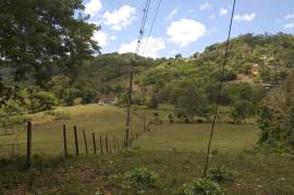 Development Land (Residential) for Sale in Walkerswood