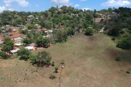 Development Land (Residential) for Sale in Walkerswood