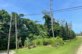 Development Land (Residential) for Sale in Montego Bay