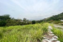 Development Land (Residential) for Sale in Kingston 6