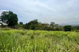 Development Land (Residential) for Sale in Kingston 6