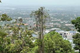 Development Land (Residential) for Sale in Kingston 6