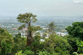 Development Land (Residential) for Sale in Kingston 6